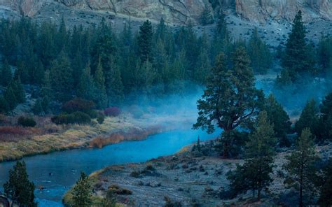 trees, Smoky Mountains, nature, landscape, mist, Oregon, HD Wallpaper ...