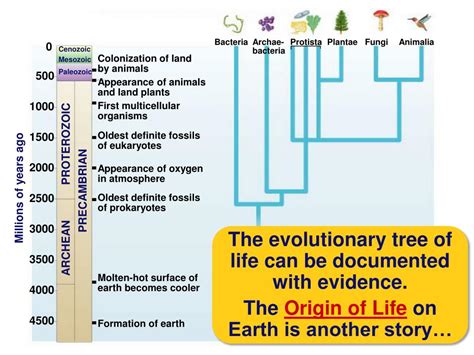 Ppt Chapter 21 Origin Of Life Powerpoint Presentation Free Download