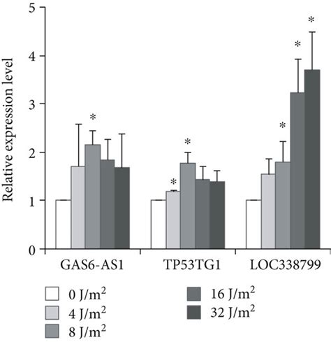 Stem Analysis And Validation Of Lncrna Expression Alterations A