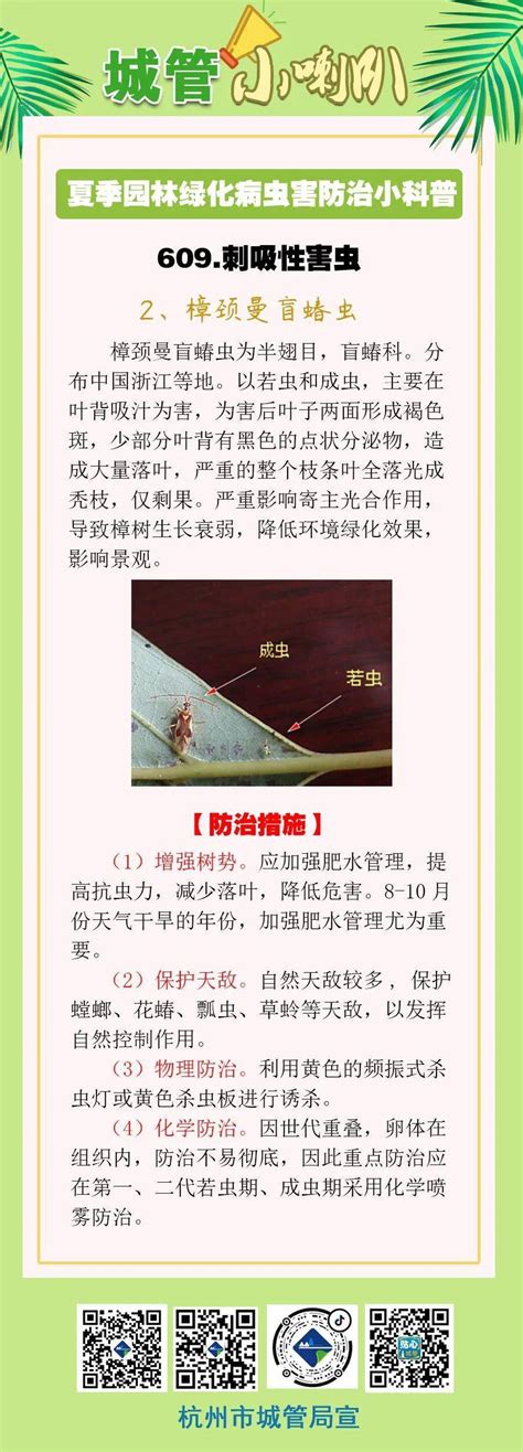 城管小喇叭——夏季园林绿化病虫害防治小科普篇篇危害