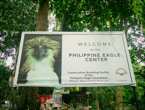 Philippine Eagle Center | Greeg Adventure