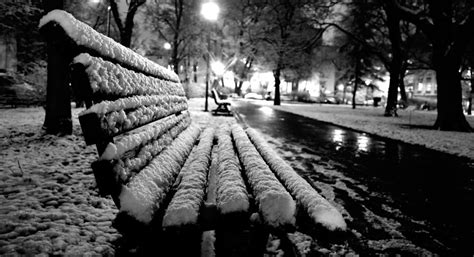 Images Gratuites Arbre Neige Hiver Noir Et Blanc Banc Rue La