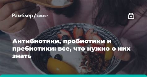 Антибиотики, пробиотики и пребиотики: все, что нужно о них знать ...