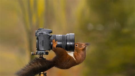 Bing HD Wallpaper Aug 19, 2023: World Photography Day - Bing Wallpaper Gallery