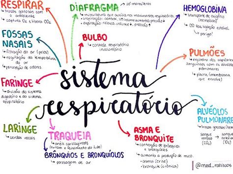 Mapas Mentais Sobre Sistema Endocrino Artofit