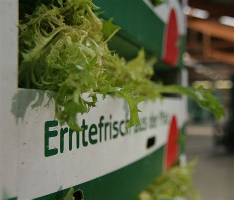 Wussten Sie Dass Der Pfalzmarkt In Mutterstadt Wo Sonst Wo Sonst