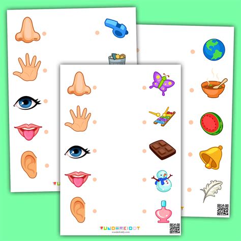 Five Senses Worksheets For Preschool And Kindergarten Megaworkbook Worksheets Library