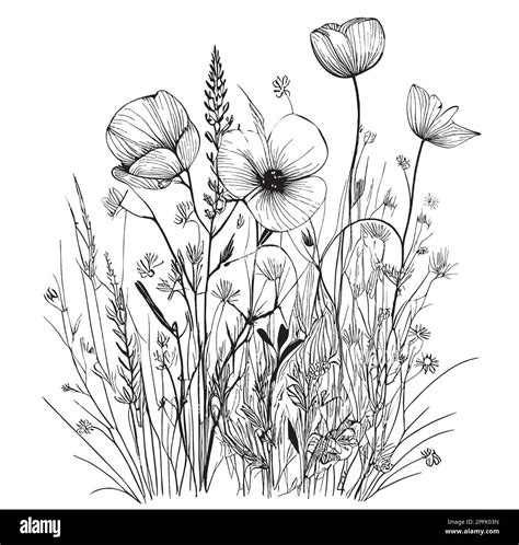 Wild Wildflowers Hand Drawn Sketch In Doodle Style Illustration Stock