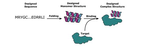 Deep Learning For New Protein Design Primenewsprint