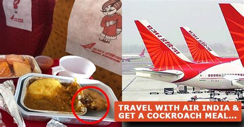 Man Found Cockroach In Food In Air India, Airline Apologised After He ...