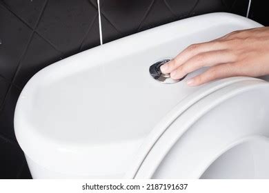 243 Urine Blockage Images Stock Photos Vectors Shutterstock