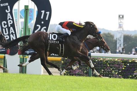 【3歳以上次走報】クロミナンスはアルゼンチン共和国杯へ｜競馬ニュース｜競馬予想のウマニティ