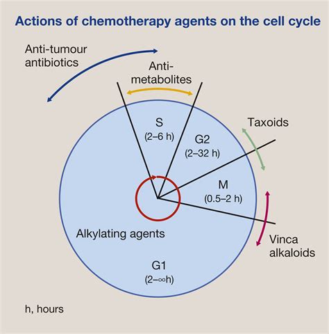 Cytotoxic Chemotherapy Clinical Aspects Medicine