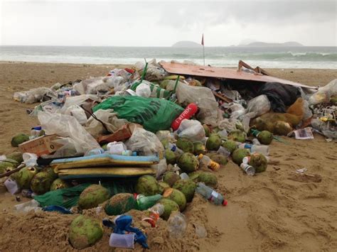 G A O Recolhe Mais De Duas Toneladas De Lixo Em Trecho Da Praia De