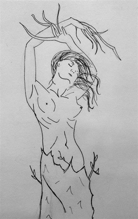 Pen Drawing Of Daphne Transforming Into A Tree April 2016 By Megan