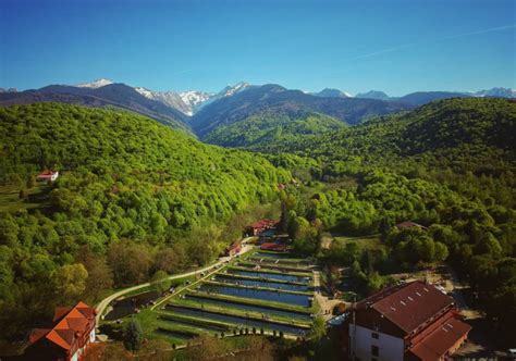 Albota Complex Peace And Relaxation At The Foot Of The Carpathians