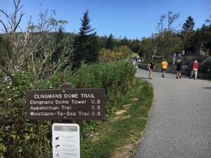 How to Find Clingmans Dome Observation Tower: Epic 360 Views