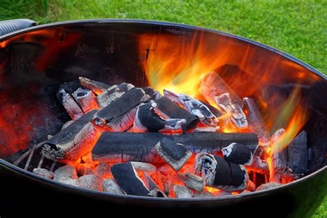 Zuschauer Verdunstung Tolle Holzkohle Zum Grillen Symbol Obstgem Se