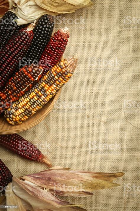 Decorative Indian Corn On Yuta Fabric Background Multi Colored Flint