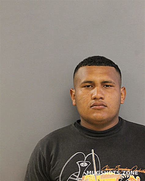 LEONARDO JOSE NUNEZ GONZALEZ 05 23 2024 Chicago Mugshots Zone