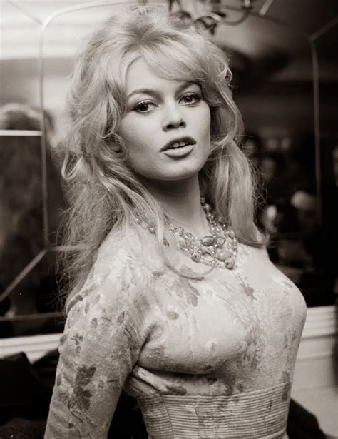 1960s Brigitte Bardot Hairdo Glamour Cin Cin Pictures Vintage 60s