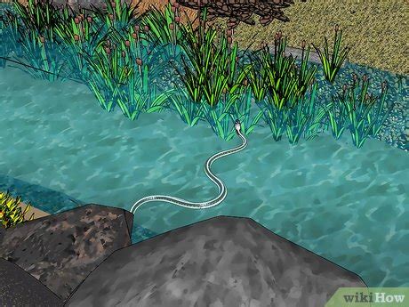 How to Prevent Snake Bites: 12 Steps (with Pictures) - wikiHow