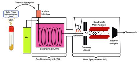 Schematic Diagram Of Gc Ms Process For Volatile Organic Compound Voc