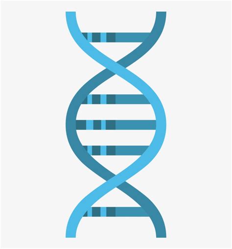 Genome Sequencing Next Generation Sequencing Icon Transparent Png