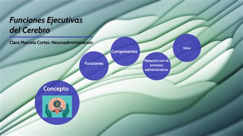 Funciones Ejecutivas Del Cerebro By Clara Marcela Cortes Sarmiento On Prezi