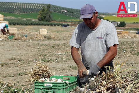 La Junta Autoriza Un Nuevo Pago De 105 5 Millones De Euros De Ayudas De