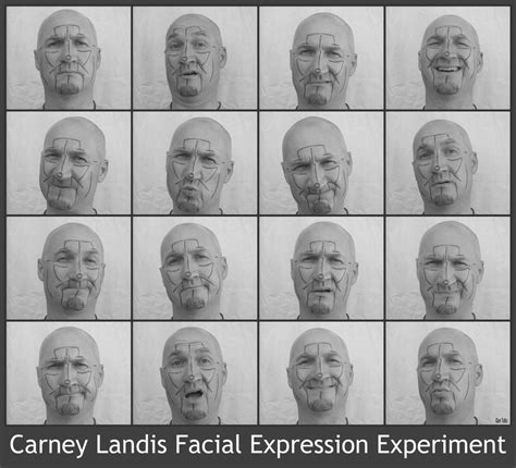 Landis facial experiment by gavtatu on DeviantArt