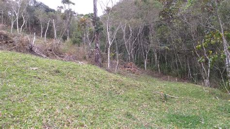 Terreno Em Guas Mornas C Digo St