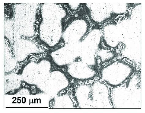 Microstructure Of An As Cast Al 5zn Alloy Download Scientific Diagram