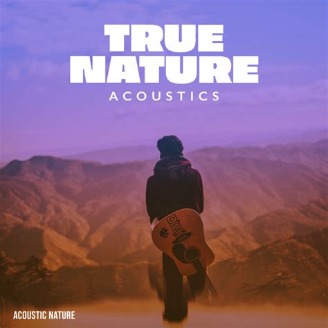 True Nature Acoustics Album By Acoustic Nature Spotify