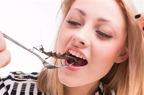 Eating Insects?