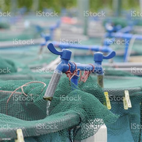 Agriculture Aquaculture Water System Farm Stock Photo Download Image