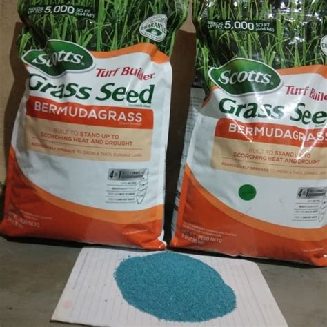 Jual Benih Bibit Biji Rumput Bermuda Grass Kg Bermuda Grass Seed