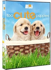 Amazon.com: Too Cute Puppies: Puppies, Animal Planet: Movies & TV