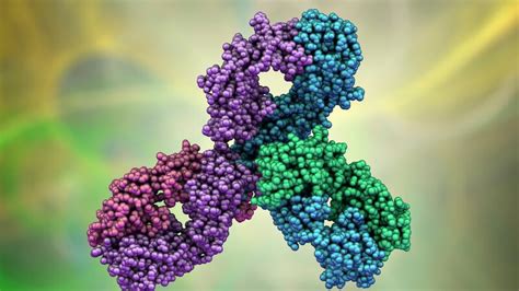 Darmkrebs Symptome Bei Analkrebs L DasKrebsportal De