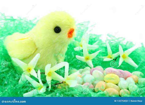 Pulcino Di Pasqua Del Giocattolo Con I Fiori E La Caramella Fotografia