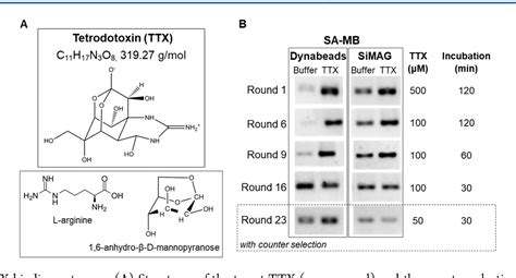 Figure 1 From Hybrid AntibodyAptamer Assay For Detection Of