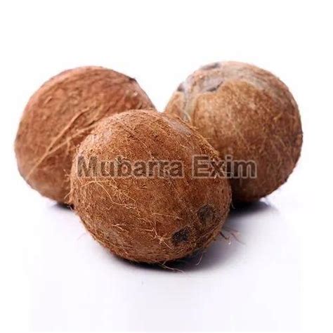 Brown Solid A Grade Semi Husked Coconut For Pooja Cooking Packaging