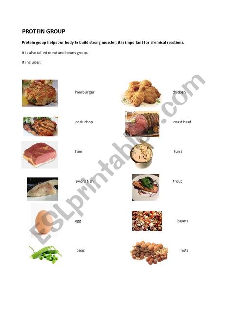 Exploring Food Proteins Group Esl Worksheet By R0ssella