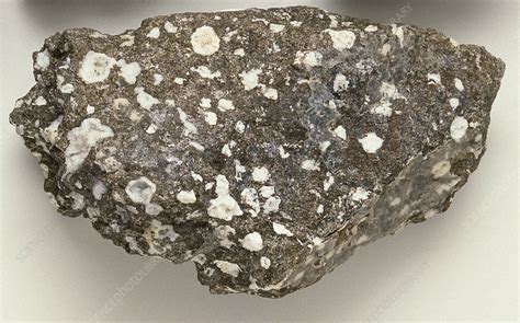 Amygdaloidal basalt - Stock Image - C051/4239 - Science Photo Library