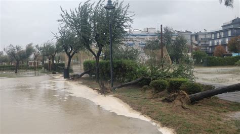 Maltempo Emilia Romagna Pioggia Vento Allagamenti E Alberi Caduti