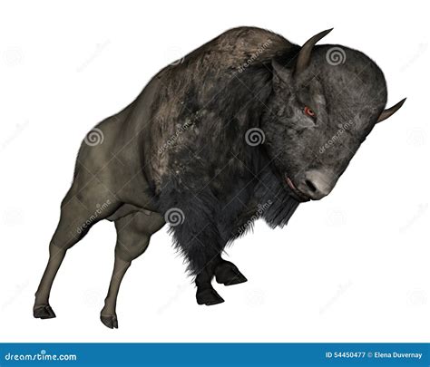 Bison Charging 3d Render Stock Illustration Illustration Of Bull