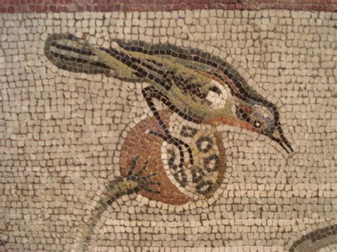 Pompeii Nile Mosaic Bird Detail Roman Mosaic Pompeii Mosaic Art