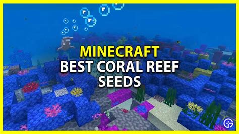 3 Best Coral Reef Seeds To Try In Minecraft 1.19 - Gamer Tweak