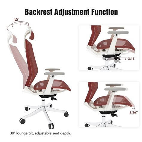 Flexispot Oc14 Ergonomic Chair Review