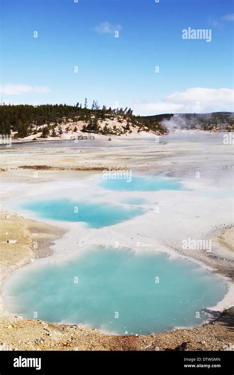 Hot spring in Yellowstone Stock Photo - Alamy